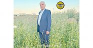 Viranşehir’de Yıllarca Şoförlük Sektöründe Esnaflık yapmış, Usta Şoför Ramazan Aslan(Tonajlı Ramazan)