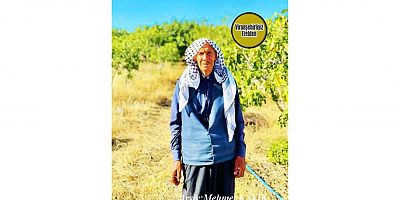 Viranşehir Altınbaşak Köyünde Çiftçilik Yapan, Sevilen İnsan Mehmet Tekin (Mehemedê Evdi)