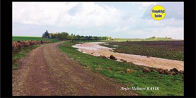 Viranşehir Aşağı Mozık Köyü 