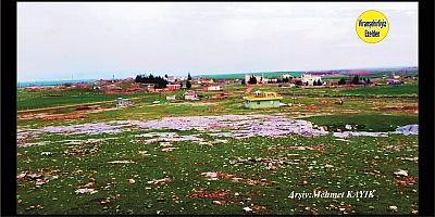 Viranşehir Cınaz Köyü 