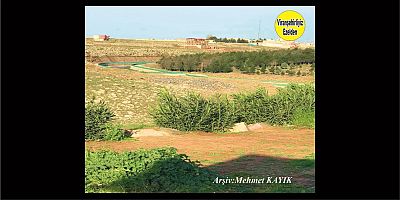 Viranşehir Curcup Bölgesi 