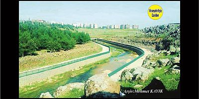 Viranşehir Curcup Bölgesi 