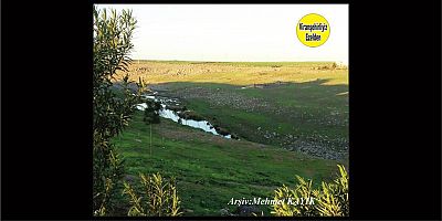 Viranşehir Curcup Bölgesi 