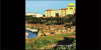 Viranşehir Curcup Bölgesi 