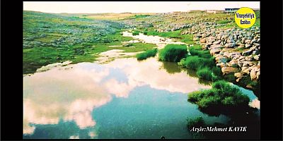 Viranşehir Curcup Bölgesi 