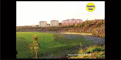 Viranşehir Curcup Bölgesi