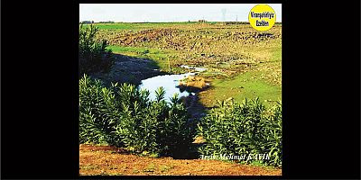 Viranşehir Curcup Bölgesi 