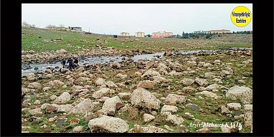 Viranşehir Curcup Deresi 