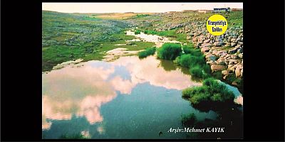 Viranşehir Curcup Deresi