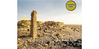 Viranşehir'de 1911 Yılında Çekilmiş Klise Harebelerine Ait Tarihi Bir Fotoğraf 