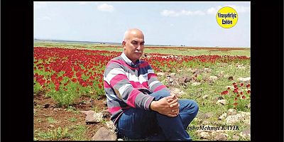 Viranşehir’de TEDAŞ Elektrik Kurumunda Görev Yapmış, Reşat Sığak