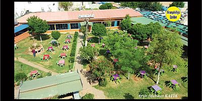Viranşehir Dilanpark Çay Bahçesi 