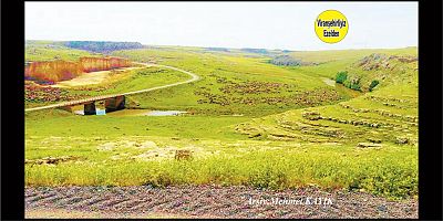 Viranşehir Ekinciler Köyü Deresi