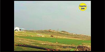 Viranşehir Helleo Bello (Başaran) Köyü 