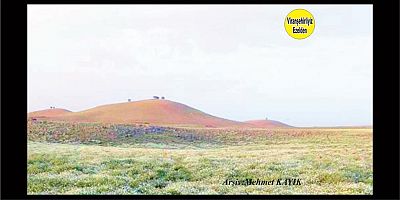 Viranşehir Karacadağ Bölgesi 