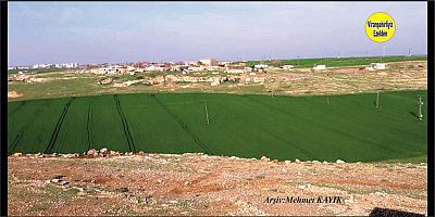 Viranşehir Yolbilen(Hıfdemal) Köyüne Ait Bir Fotoğraf Yayınlıyoruz