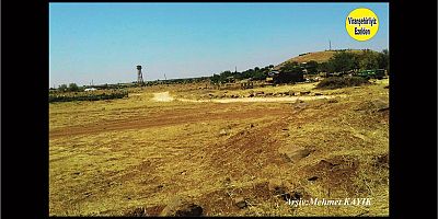 Viranşehir Yollarbaşı (Tılgoran) Köyü 