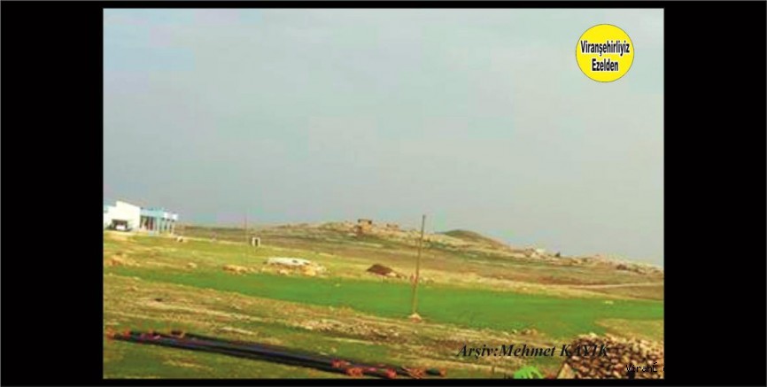 Viranşehir Başaran (Hello Bello) Köyü 