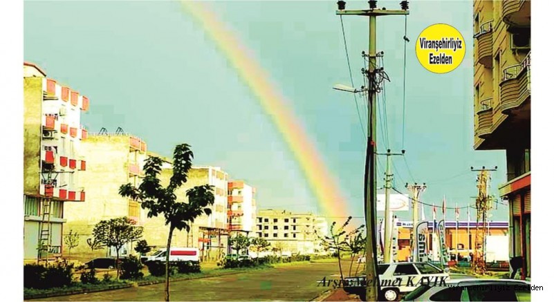 Viranşehir – Ceylanpınar Karayolu