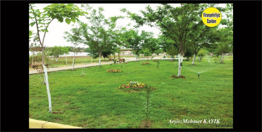 Viranşehir Hal Pazarı Parkı