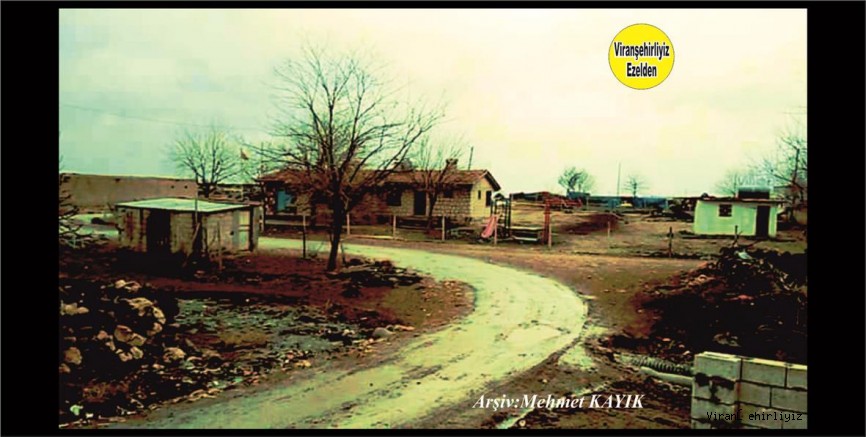 Viranşehir Şemmok Köyü