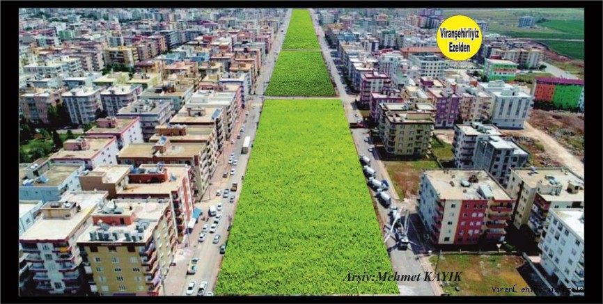 Viranşehir Yenişehir Mahallesi Tren Parkı