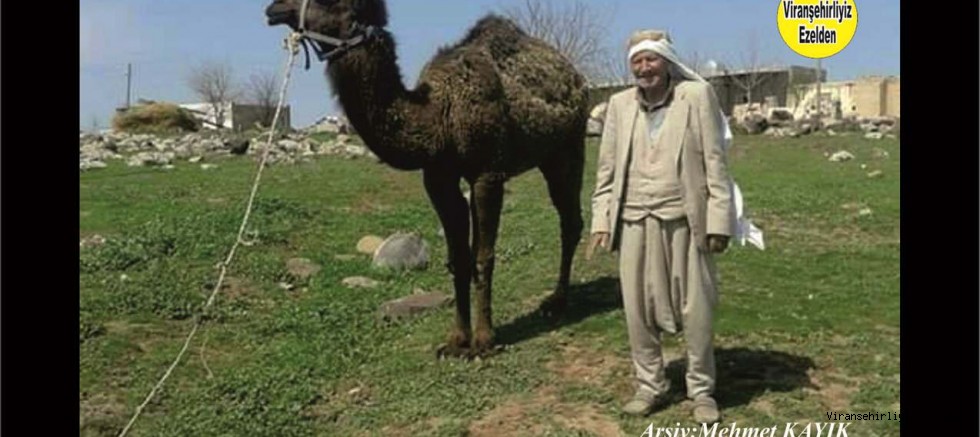 Hacı Seyir Çelik 93 yaşındaki Babası