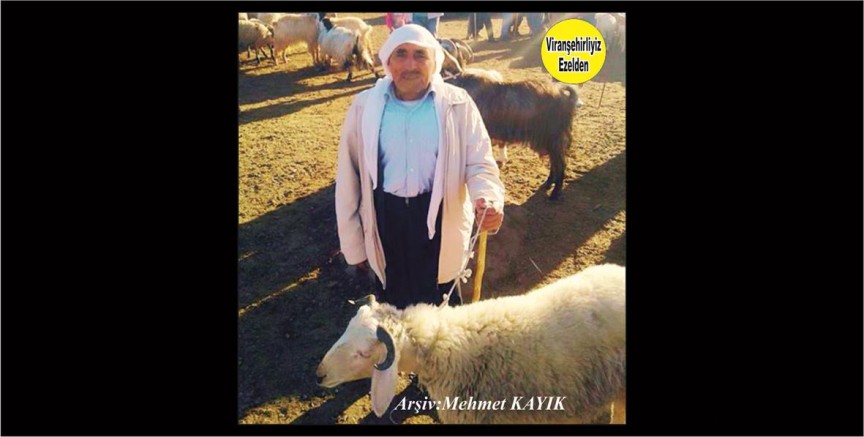 Hayvan Pazarı Esnaflarından Seydanlı Hacı Seydo