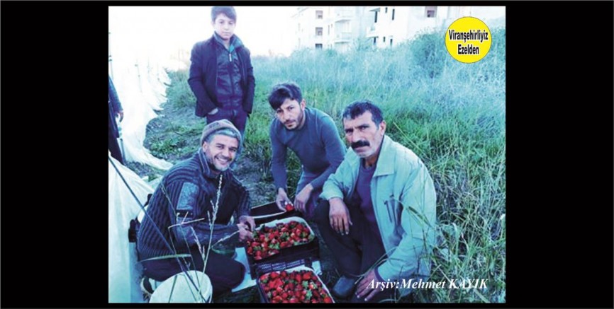 Hemşehrimiz Bilal Gülşen, Nusret Gülşen ve Ağabeyi Kemal Gülşen