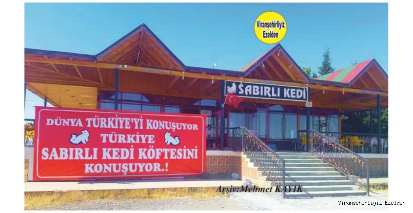 Hemşehrimiz Salih Bayram Yönetimindeki Viranşehir’in Markası Duruma gelmiş bulunan Sabırlı Kedi Tesisleri