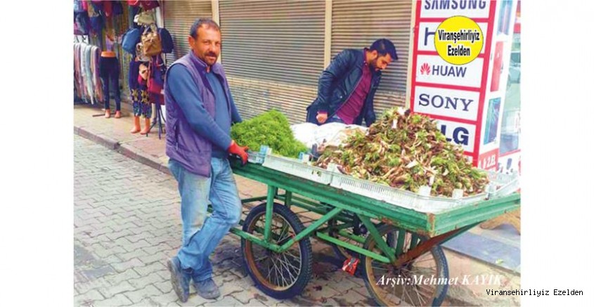 Hemşehrimiz Viranşehir’de Sebzecilik Sektöründe Yıllarca Esnaflık yapmış, Sevilen İnsan Eyyüp Doğan