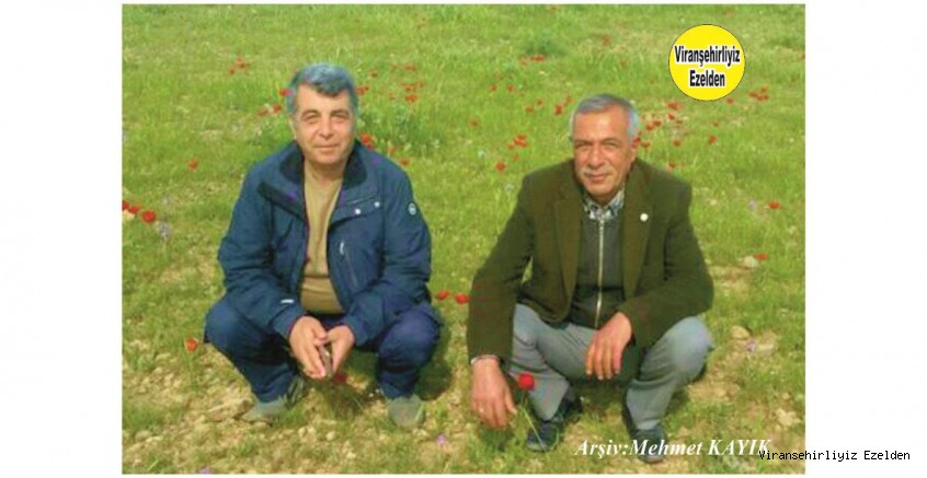 Hemşehrimiz Viranşehir Terziler Odası Başkanı Mahmut Yılmaz ve Tedaş Görevlisi Zeki Yolcu