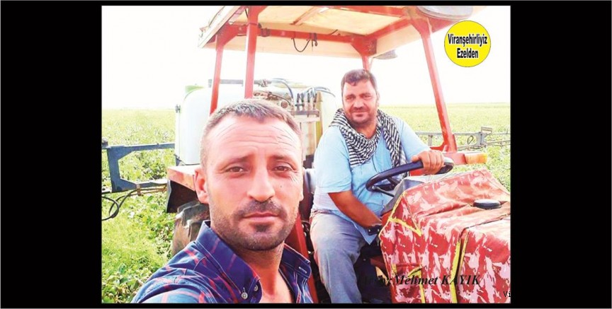 Viranşehir’de Yıllardır Çiftçilik yapan  Nevzat Yaman ve Kemal Karakış
