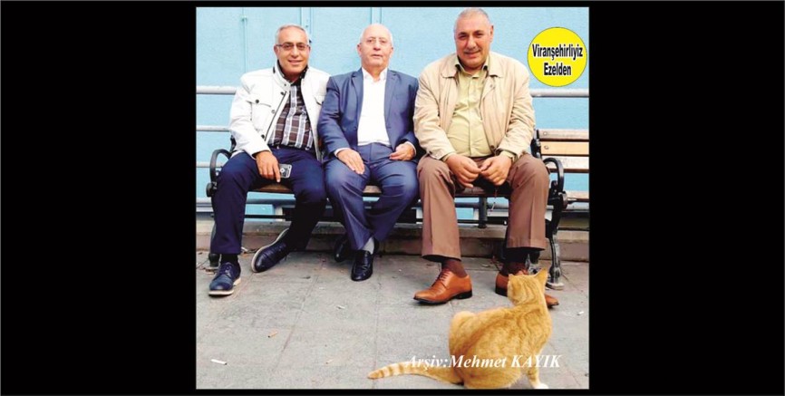 İstanbul’da yaşayan İşadamı Aslan Akyürek, Rehan Kaya ve Mahmut Topkan