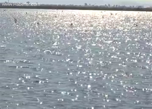 "İzmir Kuş Cenneti'nde işler yolunda"