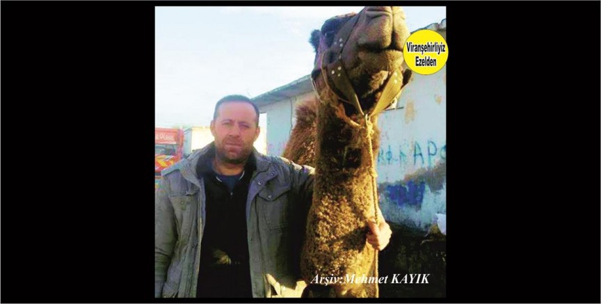 Kasap Mehmet Ali Akbaş