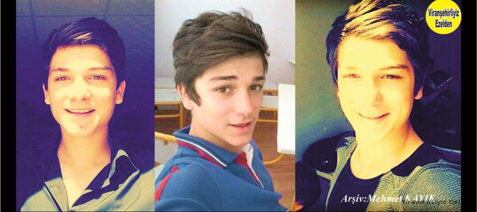 Küçük Burhan Orman