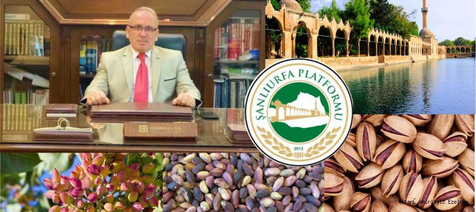 MEHMET KAYIK ŞANLIURFA FISTIĞININ TÜRKİYE'DE 'ANTEP FISTIĞI' ADI ALTINDA TANINMASINA TEPKİ GÖSTERDİ