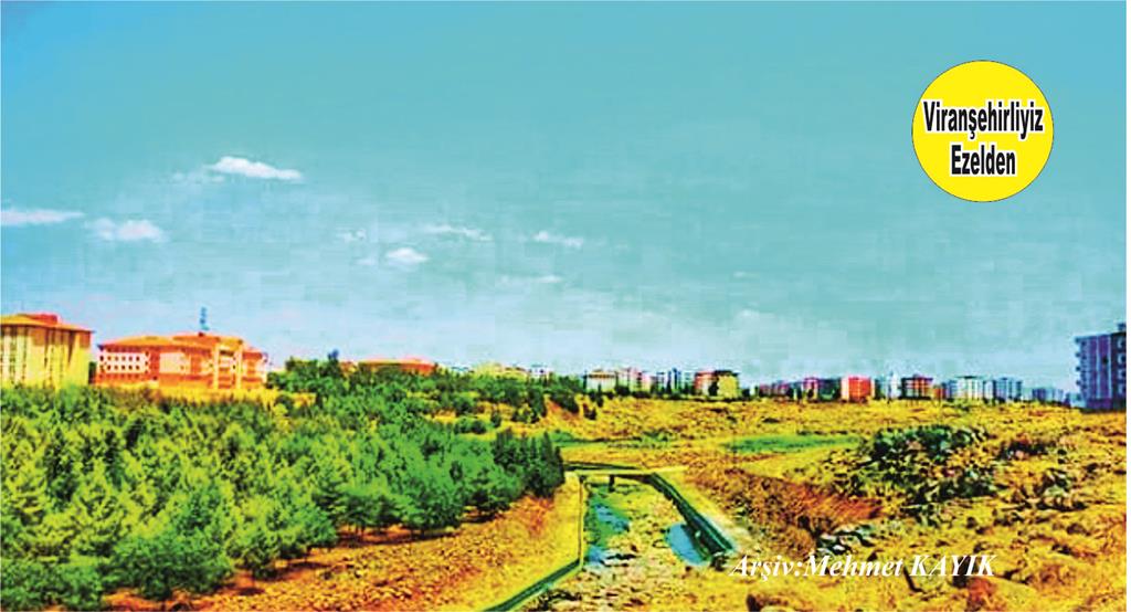 Viranşehir Curcup Deresinin Değişik Bir Bölümü
