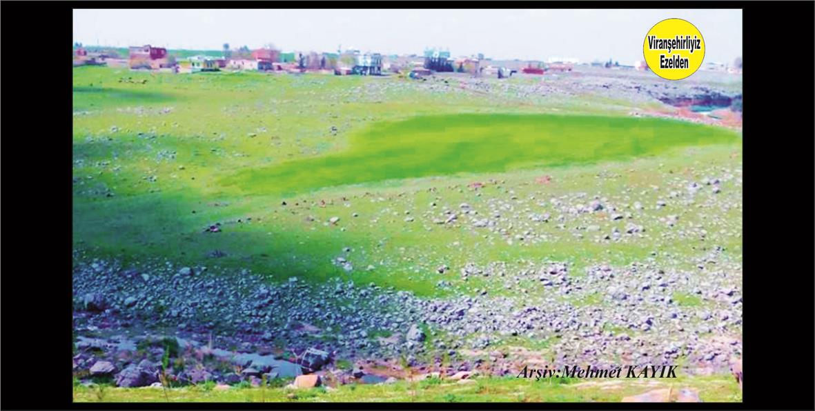 Viranşehir Curcup Bölgesi,,