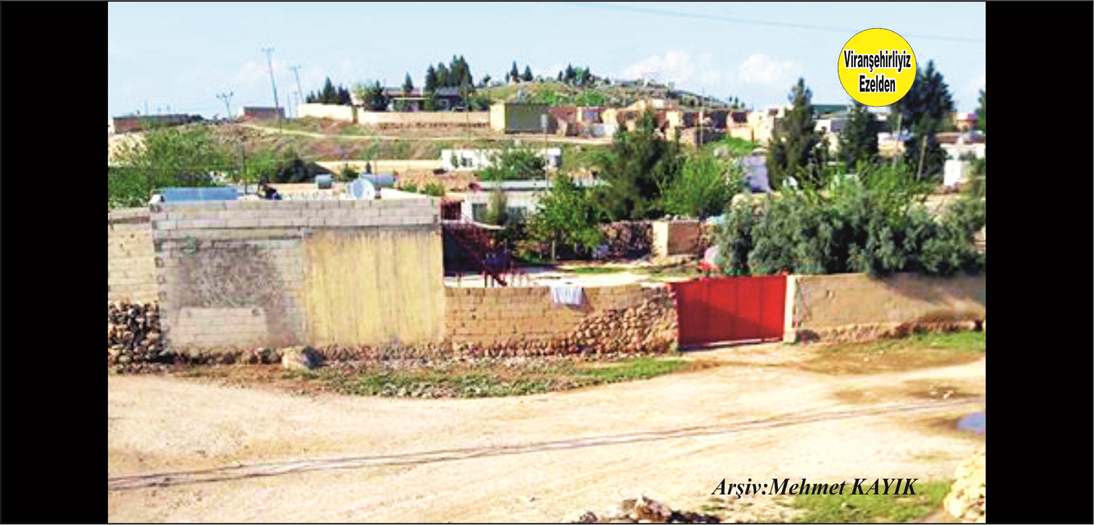 Viranşehir Kavurga Köyü,.