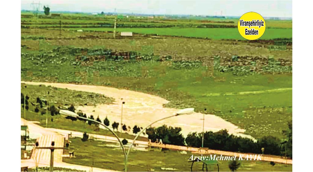 Viranşehir Curcup Deresi-