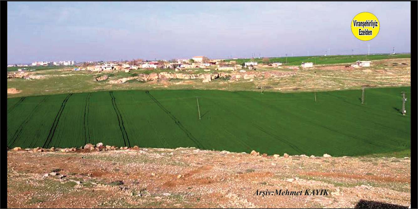 Viranşehir Yolbilen (Hıfdemal) Köyü-