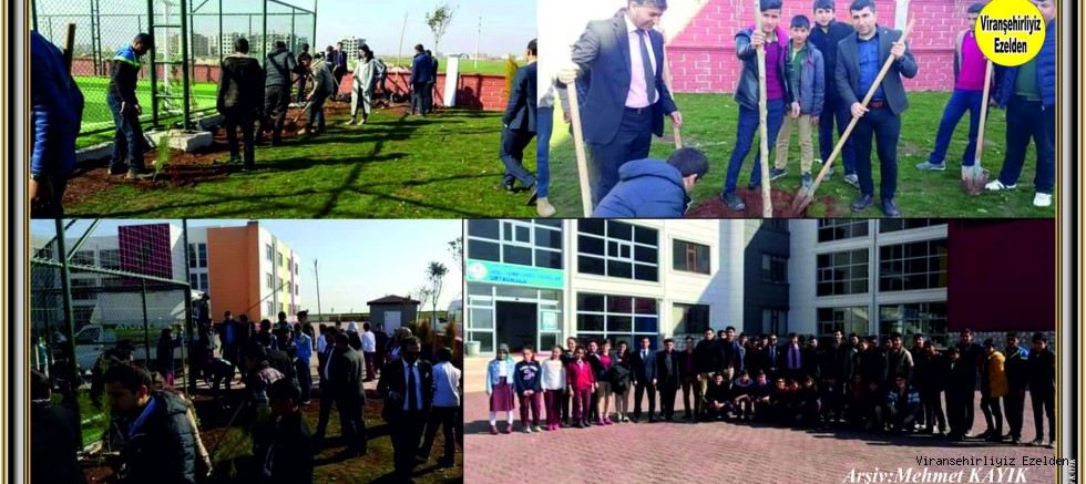 ÖZEL KOLEJDE AĞAÇ DİKİMİ BAŞLADI