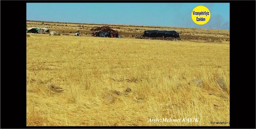 Tarlada Kıl Çadır