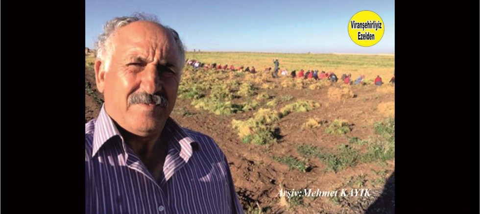 Usta ve Bilinçli  çiftçilerinden Hasan Çelikli