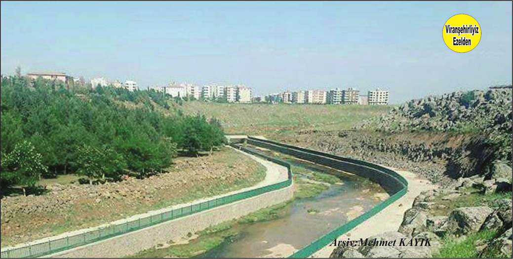 CURCUP DEREMİZ