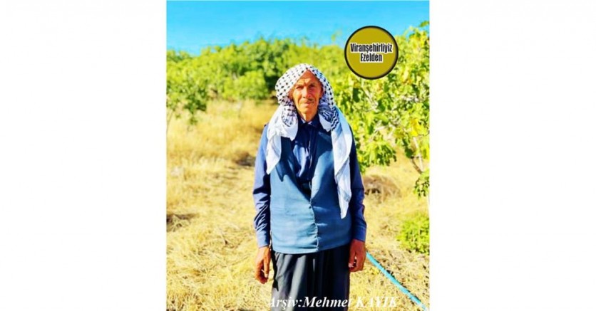 Viranşehir Altınbaşak Köyünde Çiftçilik Yapan, Sevilen İnsan Mehmet Tekin (Mehemedê Evdi)