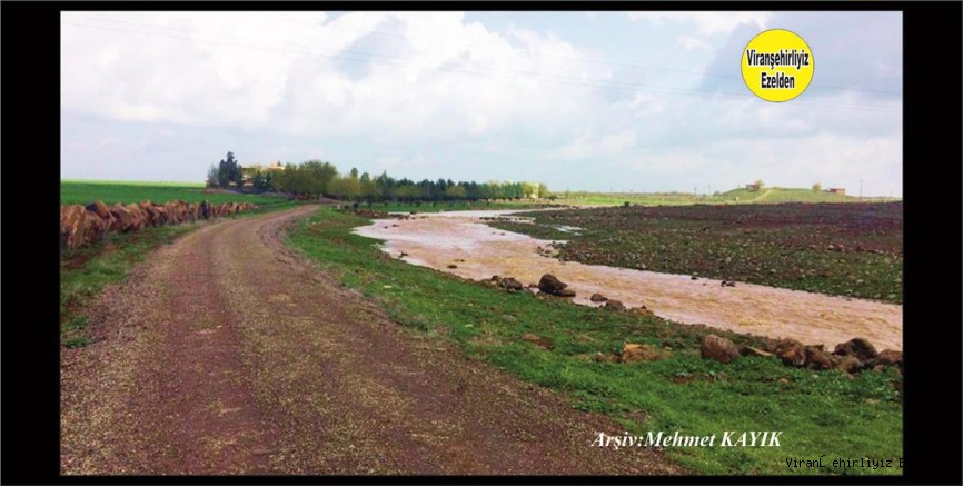 Viranşehir Aşağı Mozık Köyü Yolu 