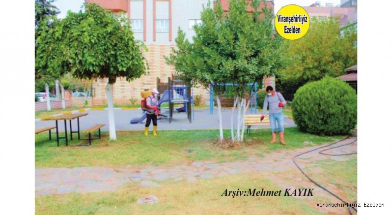 Viranşehir Belediye Parkı 
